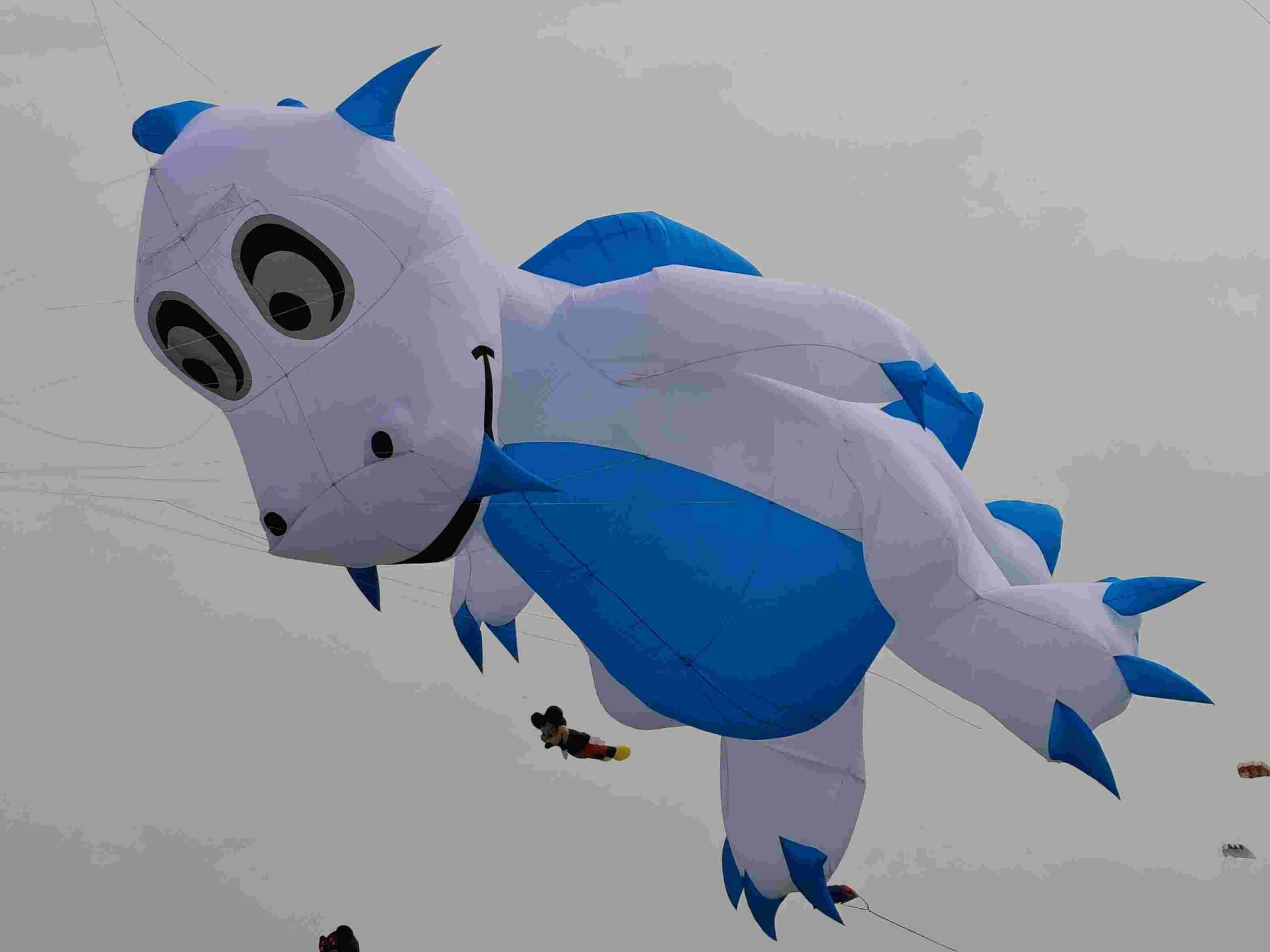 Maxi Fauchi 9kg 11 Meter